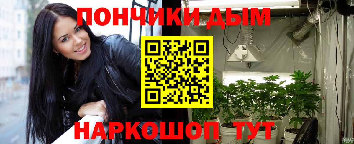 Бошки Шишки гибрид Кубинка